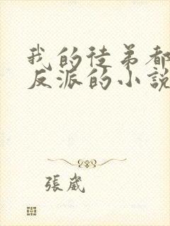 我的徒弟都是大反派的小说封面