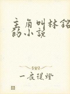 主角叫林铭陈佳的小说封面