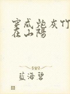 穿成炮灰竹马妾在山阳