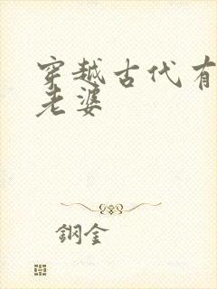 穿越古代有三个老婆