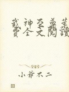 武神至尊叶风免费全文阅读无弹窗