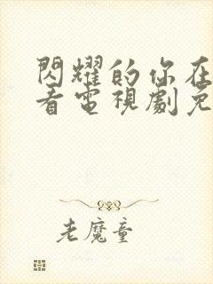 闪耀的你在线观看电视剧免费高清封面