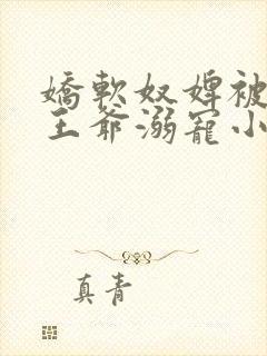 娇软奴婢被强势王爷溺宠小说免费阅读全集