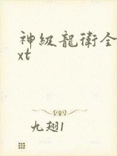 神级龙卫全本txt