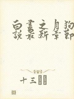 白昼之月狗子小说最新章节免费阅读