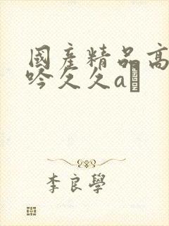 国产精品高潮呻吟久久aγ