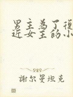 男主为了复仇接近女主的小说封面