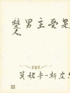 双男主受是双性人