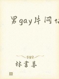 男gay片网站封面