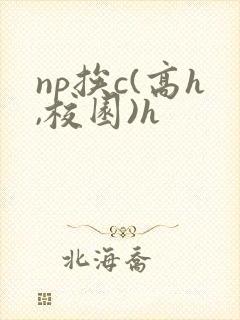 np挨c(高h,校园)h