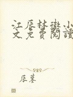 江辰林微小说全文免费阅读最新章节