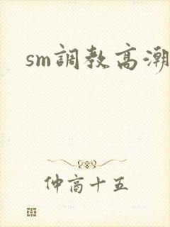 sm调教高潮h封面