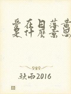 爱在日落黄昏时是什么意思