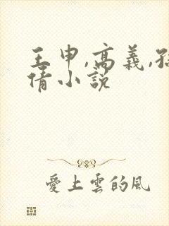 王申,高义,孙倩小说