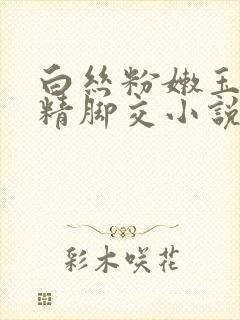 白丝粉嫩玉足夹精脚交小说