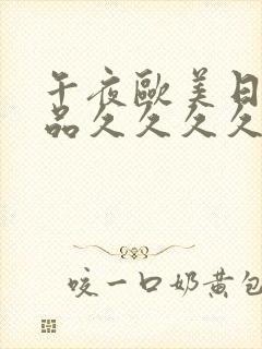 午夜欧美日韩精品久久久久久封面