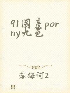 91国产porny九色