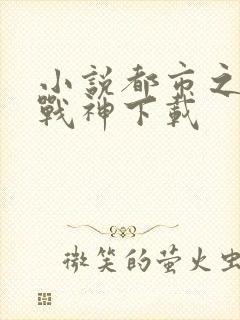 小说都市之狂婿战神下载