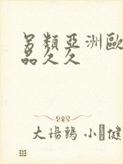 另类亚洲欧美精品久久封面