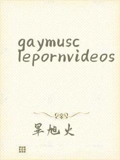 gaymusclepornvideos