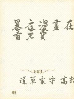 暴夜漫画在线观看免费