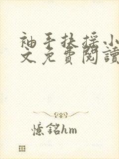 袖手扶摇小说全文免费阅读笔趣阁封面