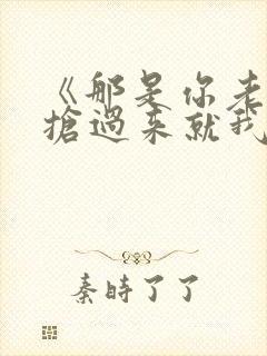 《那是你老婆,抢过来就我的了》小说