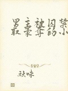 男主被囚禁被强取豪夺的小说笔趣阁