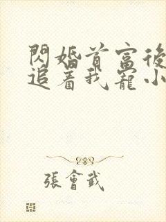 闪婚首富后,他追着我宠小说免费阅读