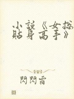 小说《女总裁的贴身高手》