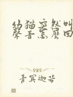 幼猫突然叫不出声音怎么回事