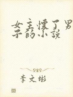 女主怀了男主孩子的小说