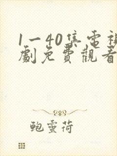 1一40集电视剧免费观看封面