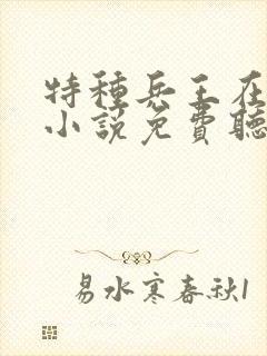 特种兵王在山村小说免费听