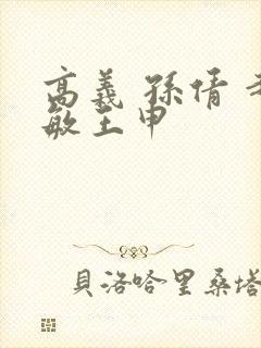 高义 孙倩 赵敏王申