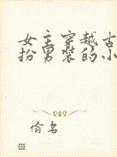 女主穿越古代女扮男装的小说封面