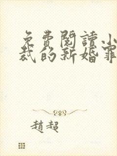 免费阅读小说总裁的新婚罪妻