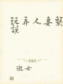 玩弄人妻系列小说封面