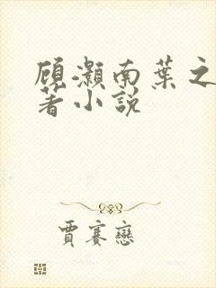 顾灏南叶之夏原著小说