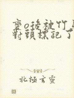 变o后被竹马死对头标记了笔趣阁封面