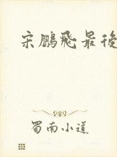 宋鹏飞最后结局