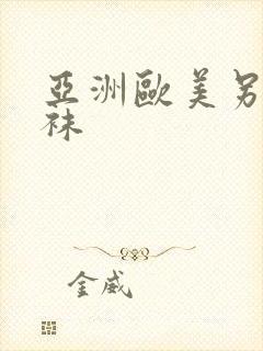 亚洲欧美另类丝袜封面