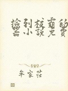 捡到校霸的遥控器小说免费读