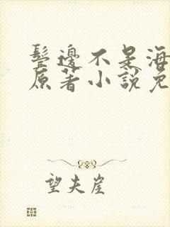 鬓边不是海棠红原著小说免费阅读封面