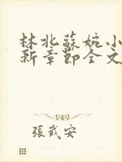 林北苏婉小说最新章节全文阅读