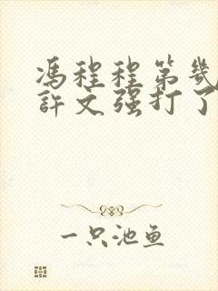 冯程程第几集被许文强打了