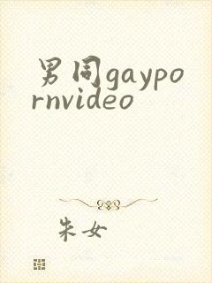 男同gaypornvideo封面