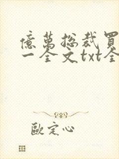 亿万总裁买一送一全文txt全文下载