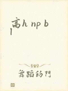 高h np bl
