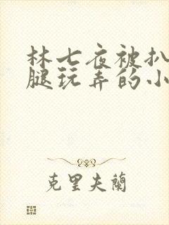 林七夜被扒开双腿玩弄的小说